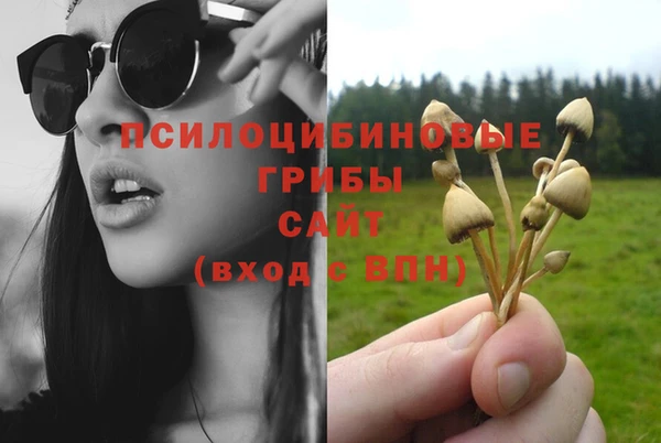 мет Медвежьегорск