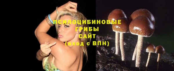 гашишное масло Медногорск