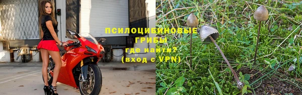 мет Медвежьегорск