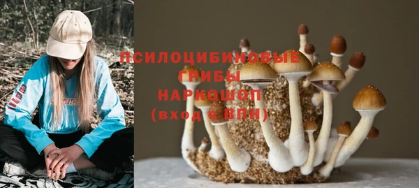 мет Медвежьегорск