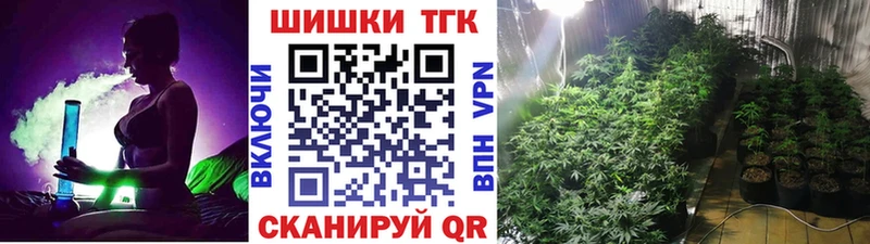 Бошки марихуана THC 21%  купить закладку  Олонец 